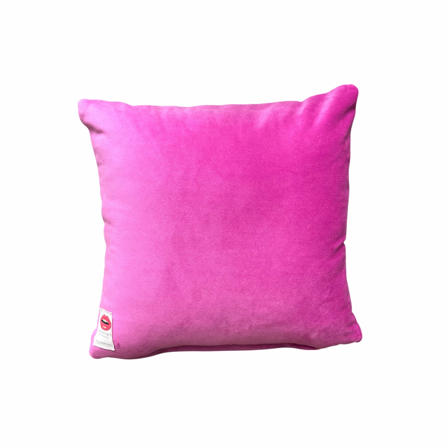 hand-embroidered needlepoint CUTIE-PATOOTIE pillow