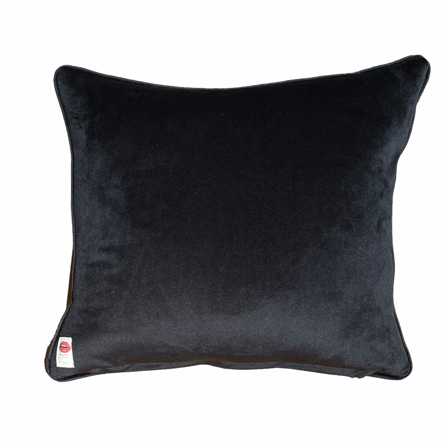 hand-embroidered lyrical pillow is covered in whimsical eyes of varying colors; vertigo band white swirl border