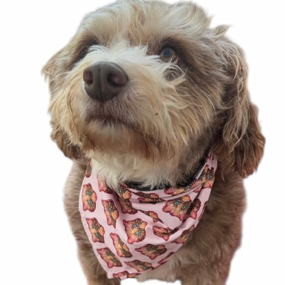CHOUPETTE KITTY pink dog bandana