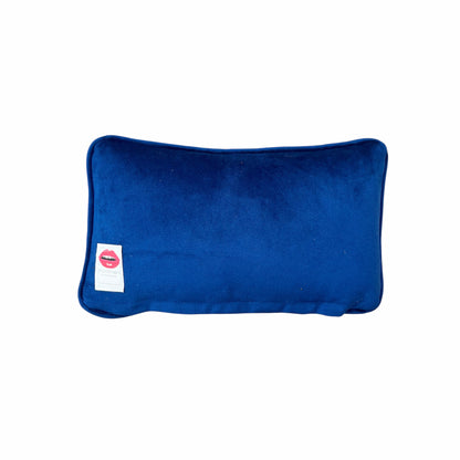 hand-embroidered needlepoint FLUFF AROUND AND FIND OUT  pillow