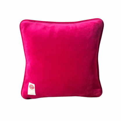 velvet F-BOMBS custom made feather down pillow