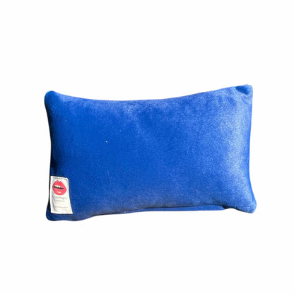 velvet FLUFF AROUND AND FIND OUT toss pillow