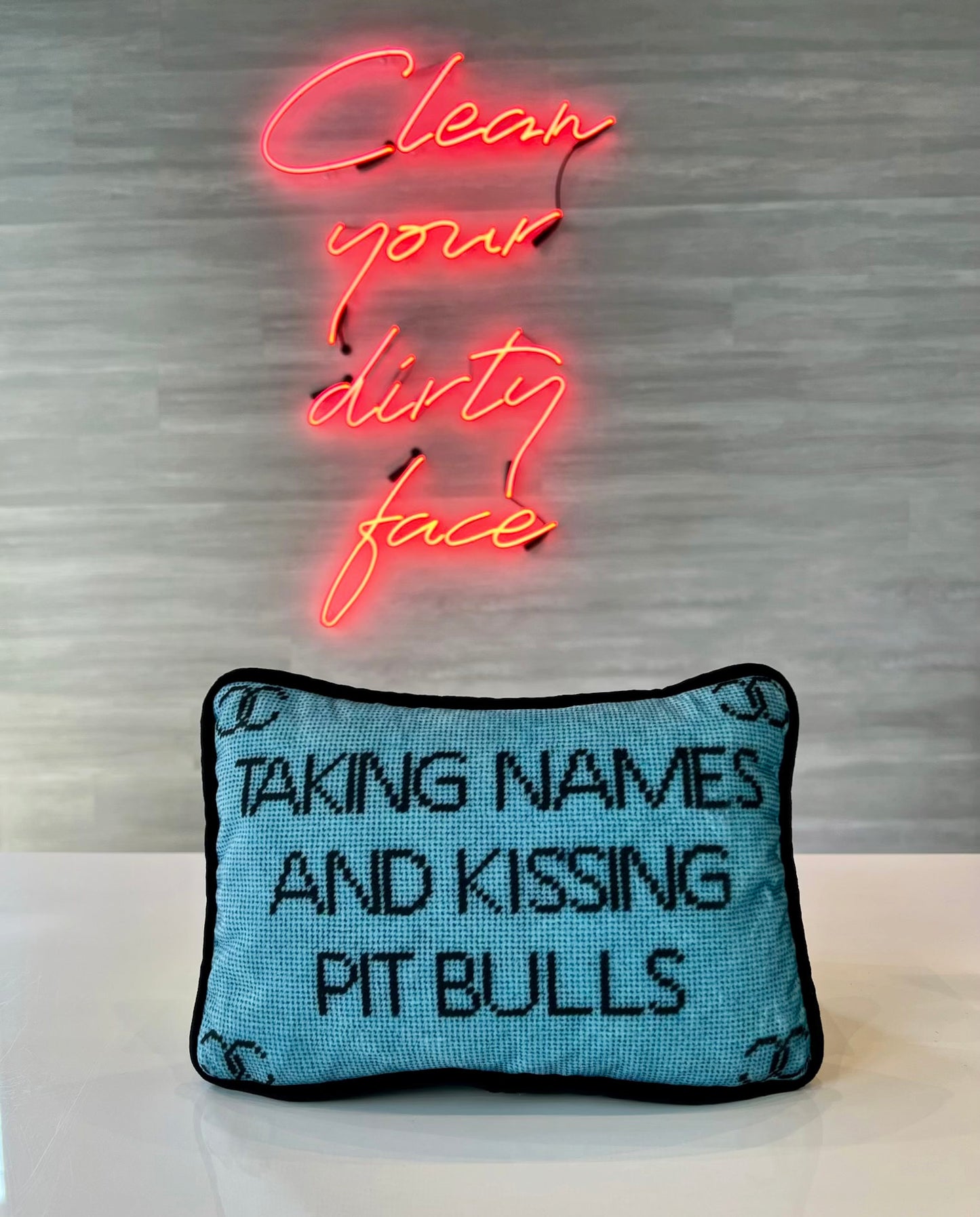 baby blue velvet pillow with black T AKING NAMES AND KISSING PIT BULLS centered; Chanel-looking C on corners