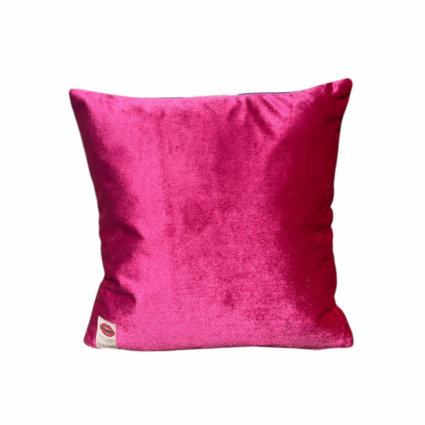 velvet PUNK SQUIRREL feather down pillow