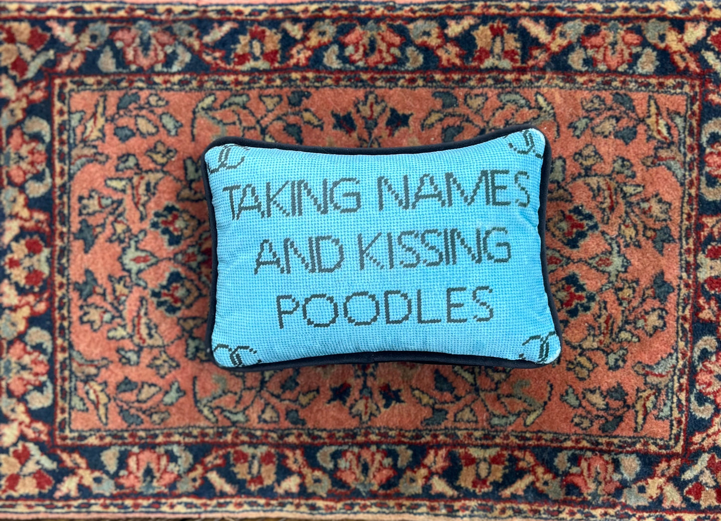 TAKING NAMES AND KISSING POODLES blue velvet pillow