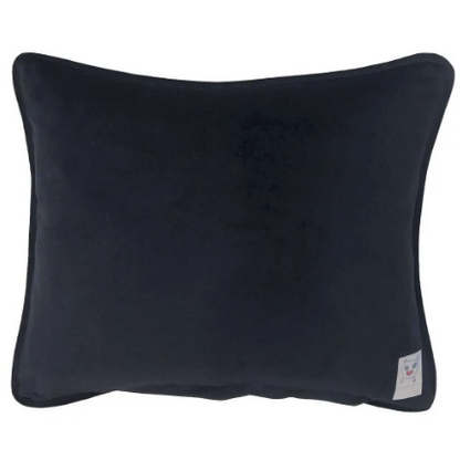 black velvet pillow